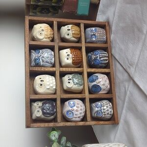 Whimsical Woodland Vintage Owl Set Of 12 Japan Wood Display Box